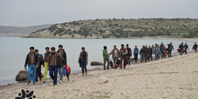 نجات 150 پناهجو در ترکیه