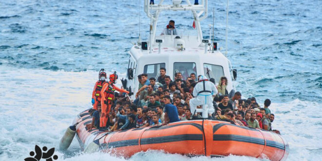 نجات صدها پناهجو در مدیترانه